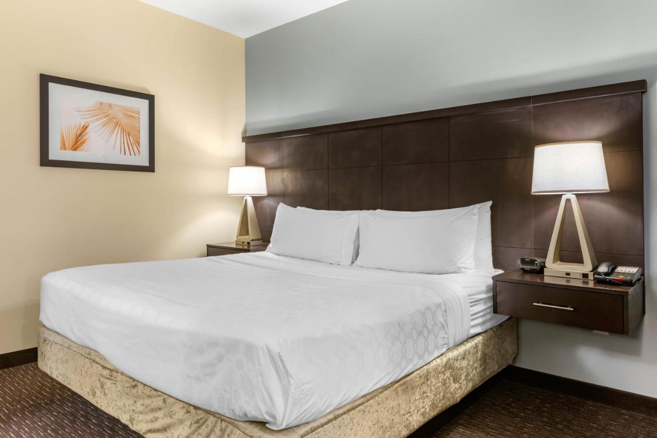 Staybridge Suites St. Petersburg Fl By Ihg Extérieur photo