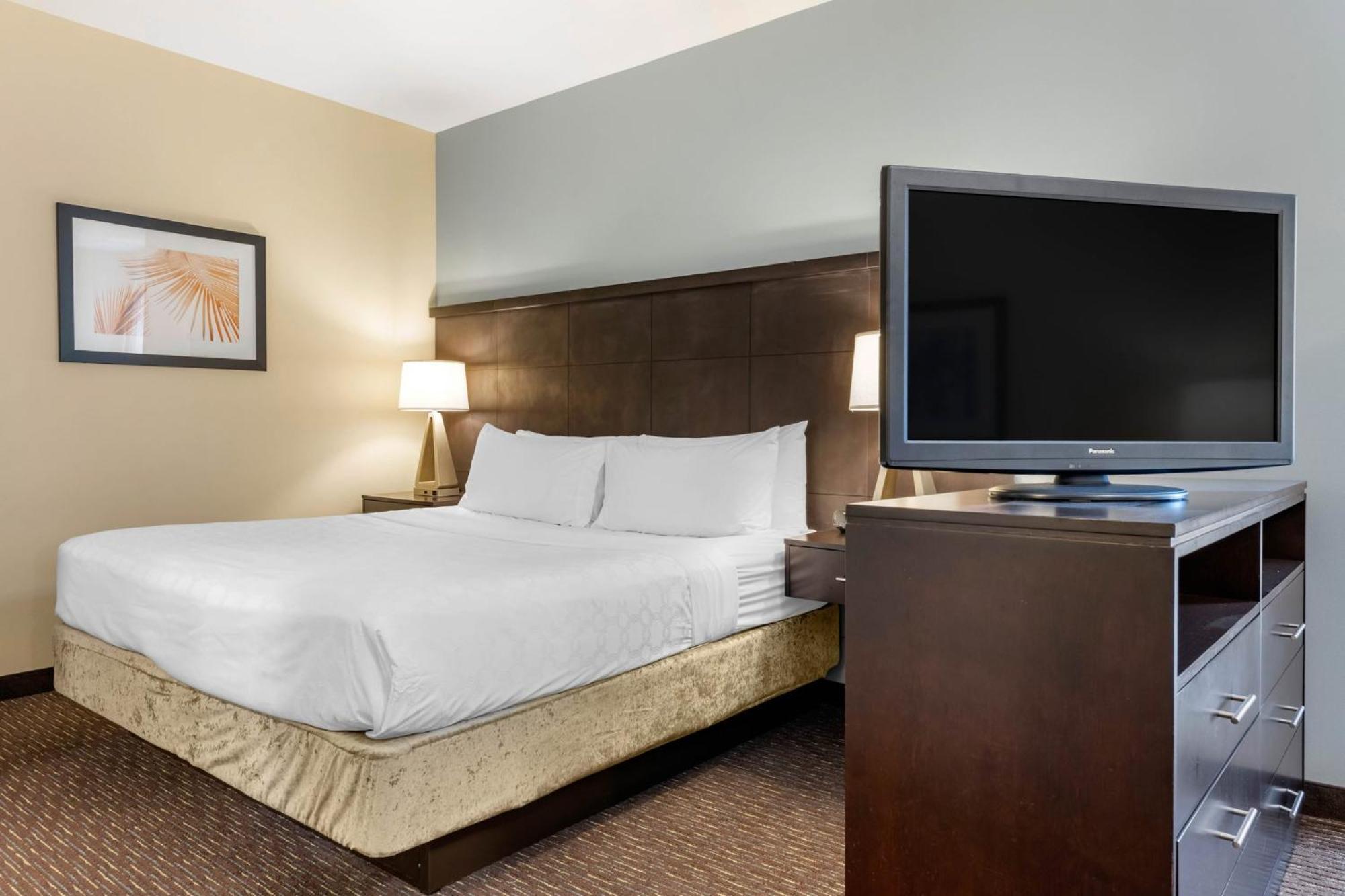 Staybridge Suites St. Petersburg Fl By Ihg Extérieur photo
